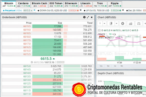 bitmex opiniones